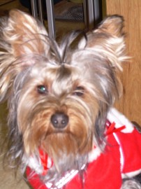 LOLA
